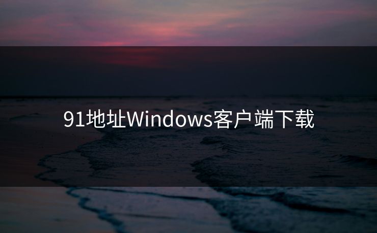 91地址Windows客户端下载
