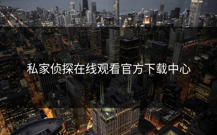 私家侦探在线观看官方下载中心