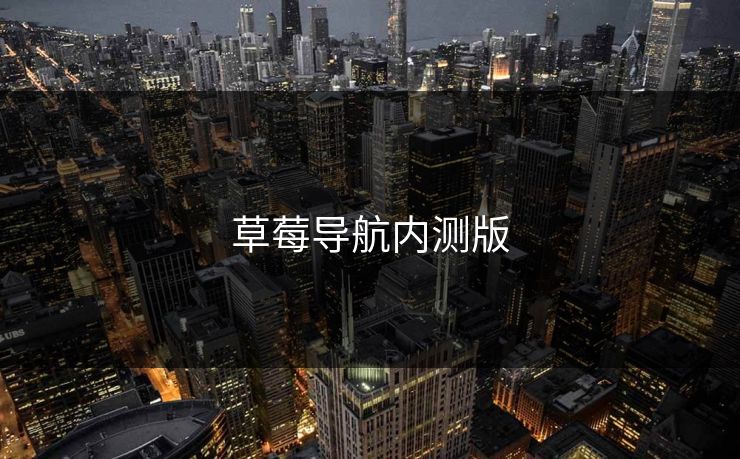草莓导航内测版